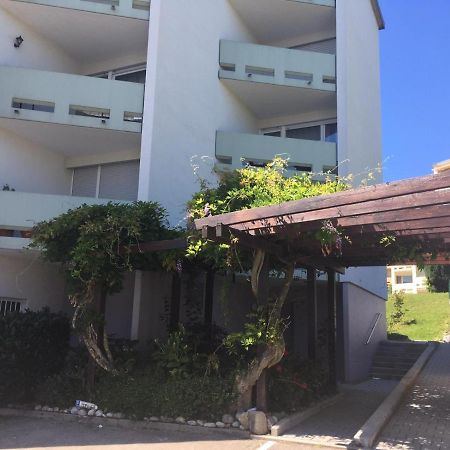 Top Ausgestattete 1 Zi-Whg Fuer Urlaub U Dienstreisen اممنستاد ام بودينسي المظهر الخارجي الصورة